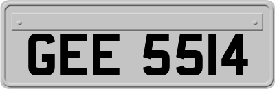 GEE5514