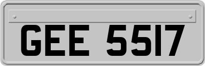 GEE5517
