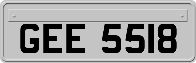 GEE5518