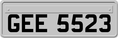 GEE5523