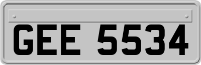 GEE5534