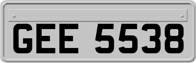 GEE5538