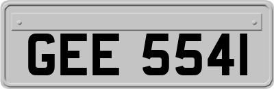 GEE5541