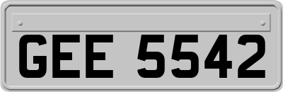GEE5542