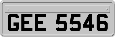 GEE5546