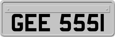 GEE5551