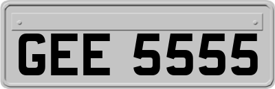 GEE5555
