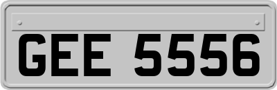 GEE5556
