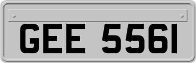 GEE5561