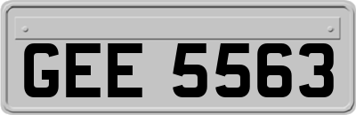 GEE5563