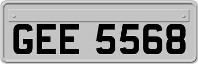 GEE5568