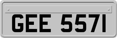 GEE5571
