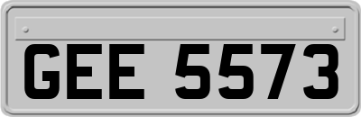 GEE5573