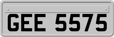 GEE5575