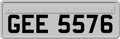 GEE5576