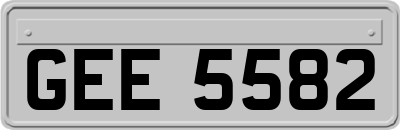 GEE5582