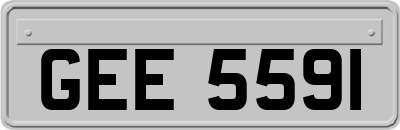 GEE5591