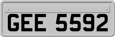 GEE5592