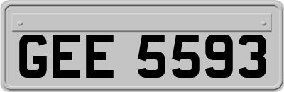 GEE5593