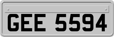 GEE5594