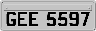 GEE5597