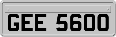 GEE5600