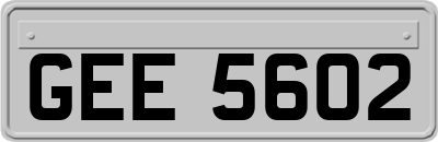 GEE5602