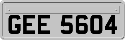 GEE5604