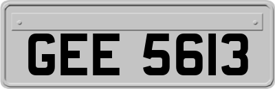 GEE5613