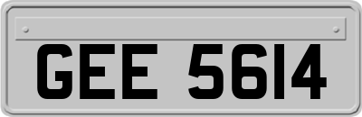 GEE5614