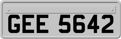 GEE5642
