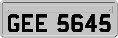 GEE5645