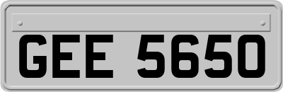 GEE5650
