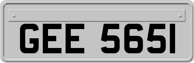 GEE5651