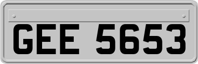 GEE5653