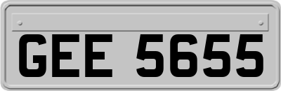 GEE5655