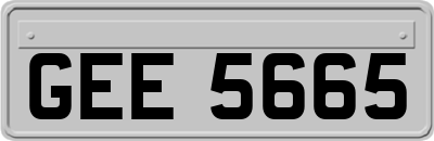 GEE5665