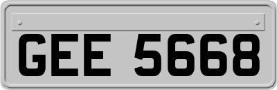 GEE5668