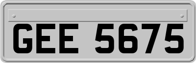 GEE5675