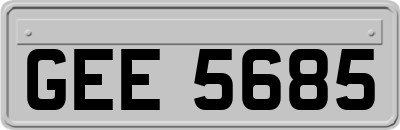 GEE5685
