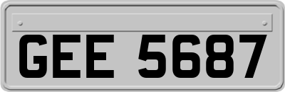 GEE5687