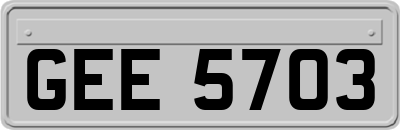 GEE5703
