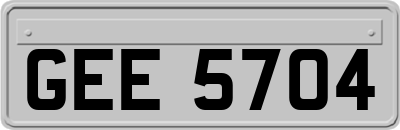 GEE5704