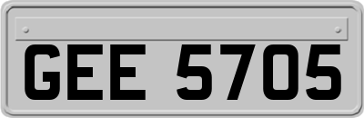 GEE5705