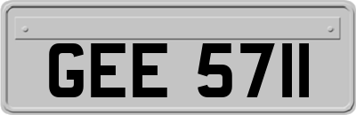 GEE5711