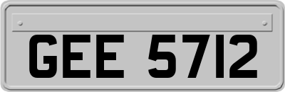 GEE5712