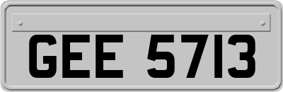 GEE5713