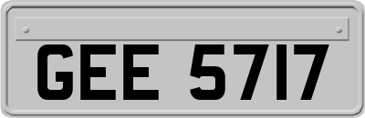 GEE5717