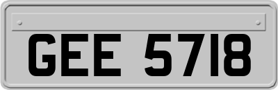 GEE5718