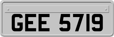 GEE5719